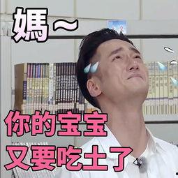 吃瓜群众表情配文字,笑料百出，揭秘网络社交新潮流