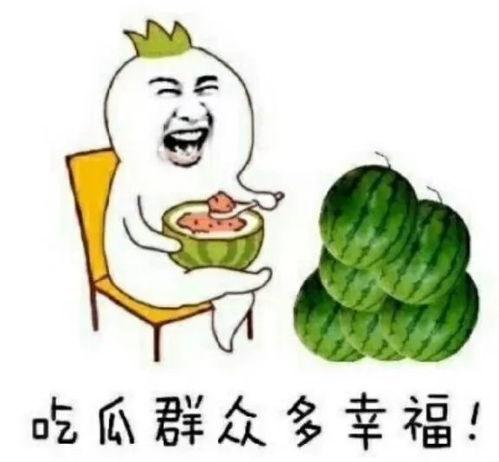 吃瓜娱乐圈小羊,揭秘吃瓜群众的娱乐盛宴